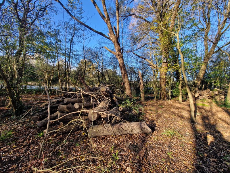 Areas have been created as wildlife havens