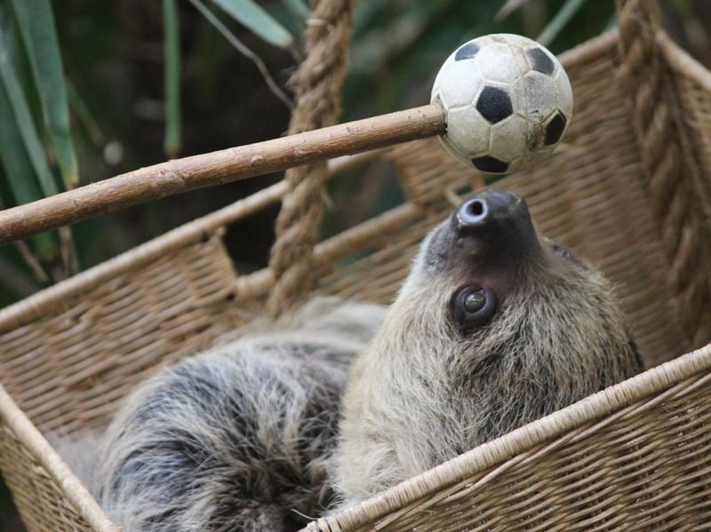 Edinburgh Zoo