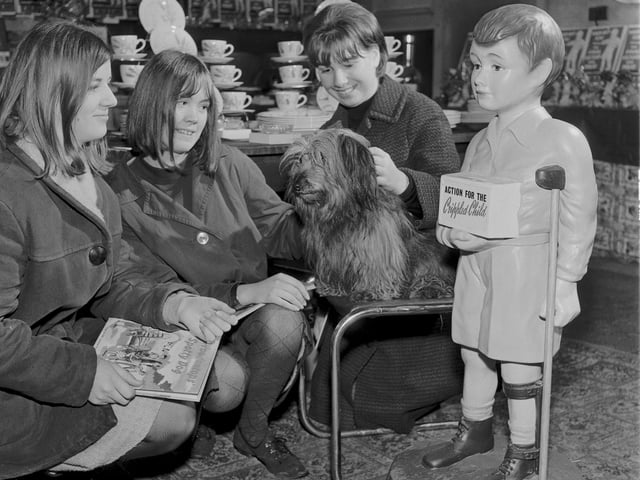 Bobby the dog, who featured in the film 'Greyfriars Bobby', in the Christmas gift shop at 46 Home Street, Tollcross, in December 1965.