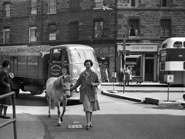 Janet Walker walking her pony Balfour during her lunch hour in Tollcross. 