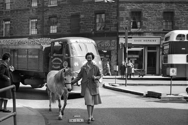 Janet Walker walks her pony Balfour during her lunch hour in Tollcross in April 1963