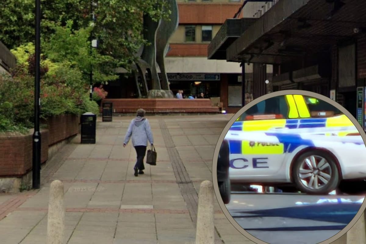 Man, 32, charged with animal cruelty after Sheffield shoppers call 999 ...