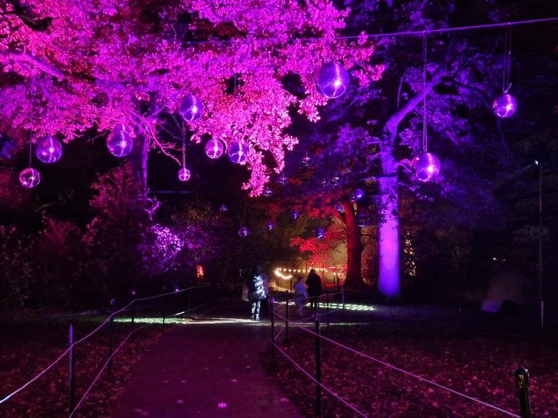 Stunning light installations at Marwell Zoo