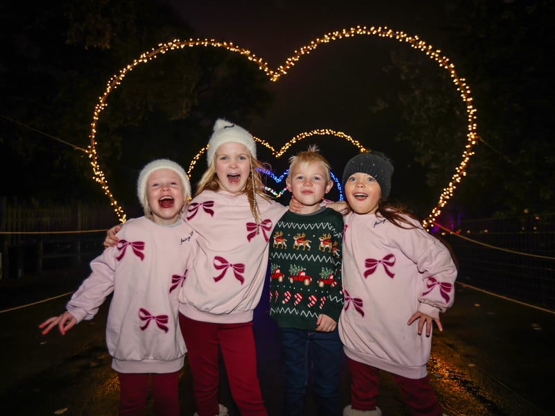 Fabulous light trail at Marwell Zoo
