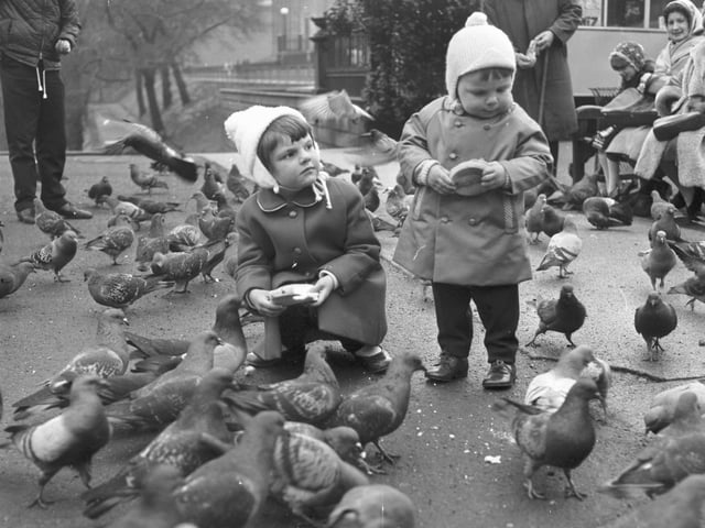 Children feeding the pigeons in Princes Street Gardens in April 1966.