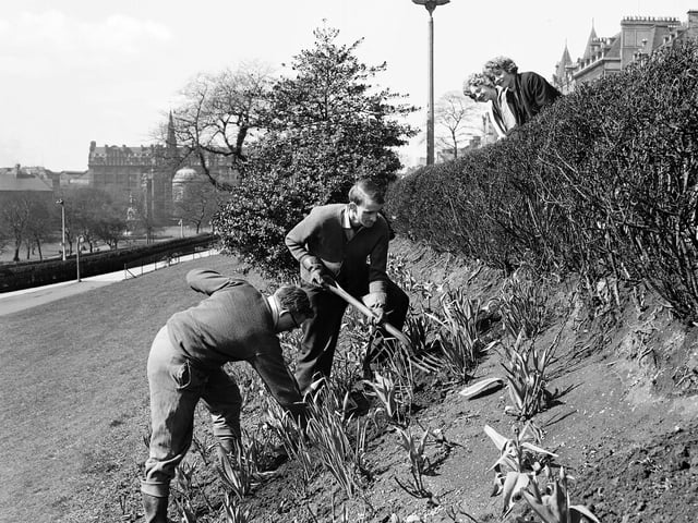 Two men working on spring bulb beds in Princes Street Gardens in April 1963.