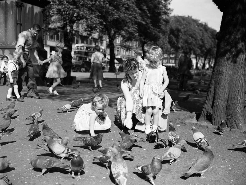 Mother and daughters feeding the pigeons in Princes Street Gardens Edinburgh in the summer of 1959.