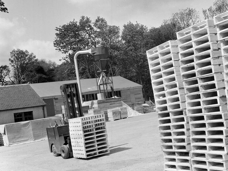 The Tilgate Sawmills at South Queensferry in June 1964.