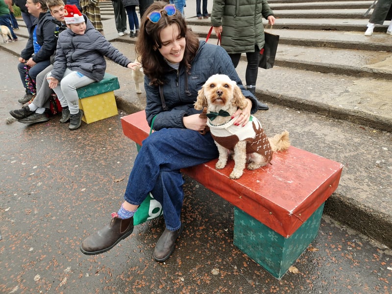 This cute pooch took a seat to calm down from all the madness.