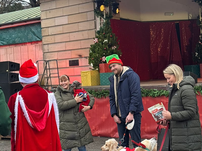 The three finalists in the 'best dressed dog' competition at Santa Paws in Edinburgh.