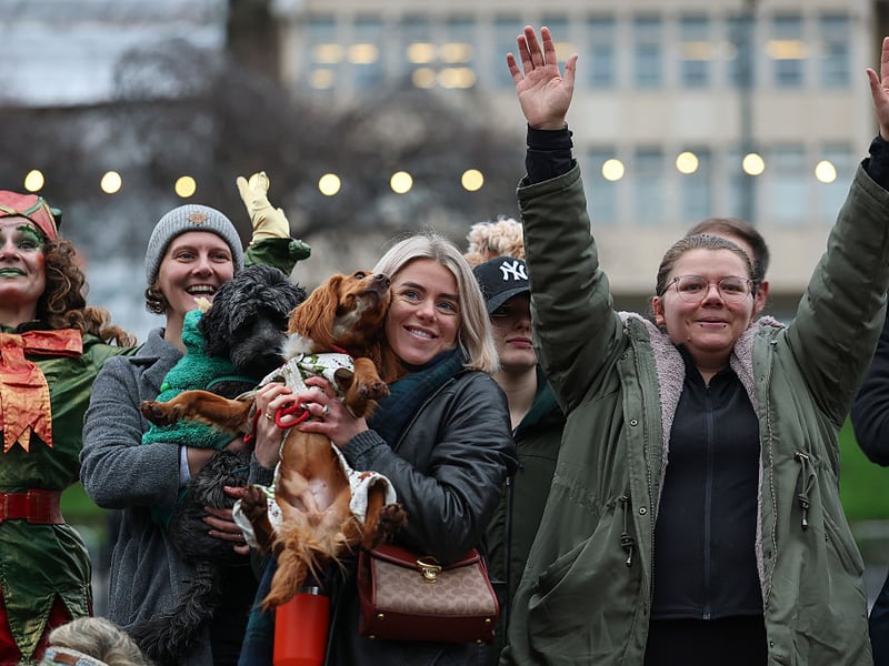 Organisers were hoping to break the world record for the highest number of dogs in Christmas outfits assembled in one place.