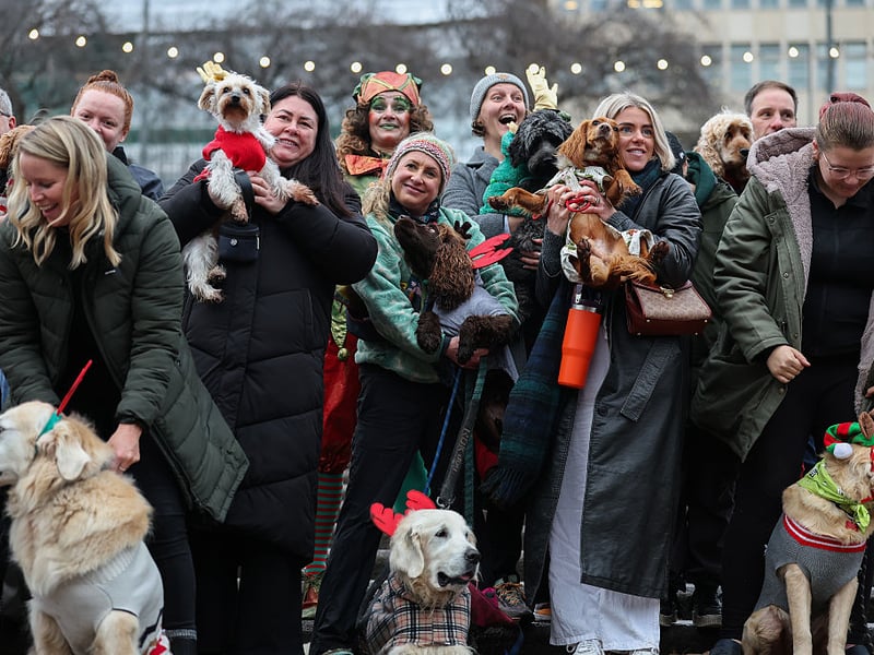 There were also games for the dogs to enjoy.