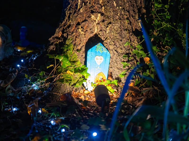 Pictured - A fairy door 
Photos by Alex Shute