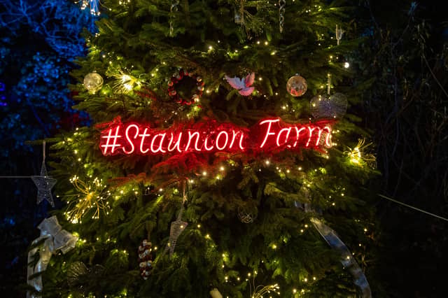 Pictured - Staunton Farms Enlightened Christmas light trail
Photos by Alex Shute