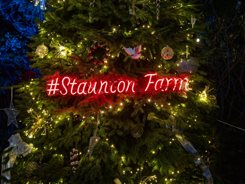 Pictured - Staunton Farms Enlightened Christmas light trail

Photos by Alex Shute