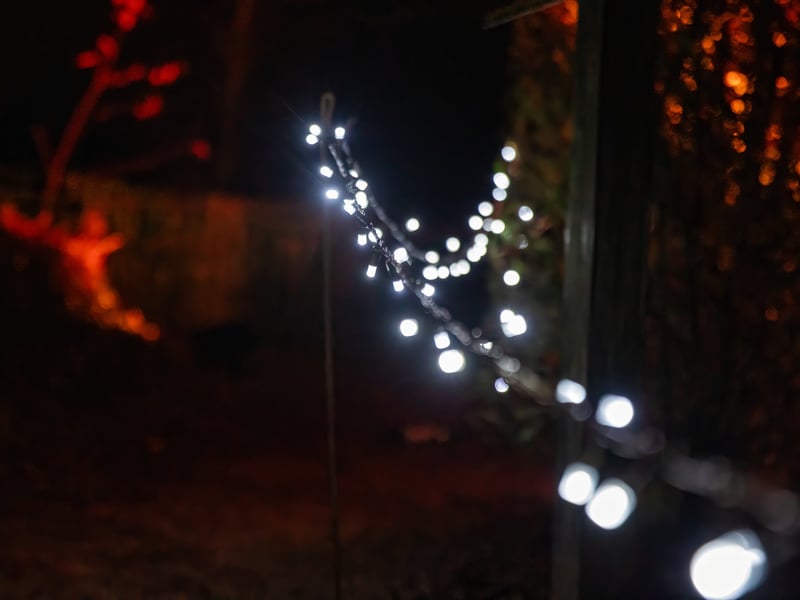 Pictured - Staunton Farms Enlightened Christmas light trail

Photos by Alex Shute