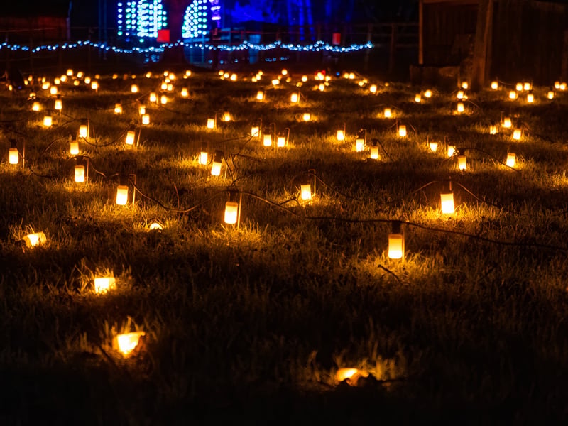 Pictured - Staunton Farms Enlightened Christmas light trail

Photos by Alex Shute