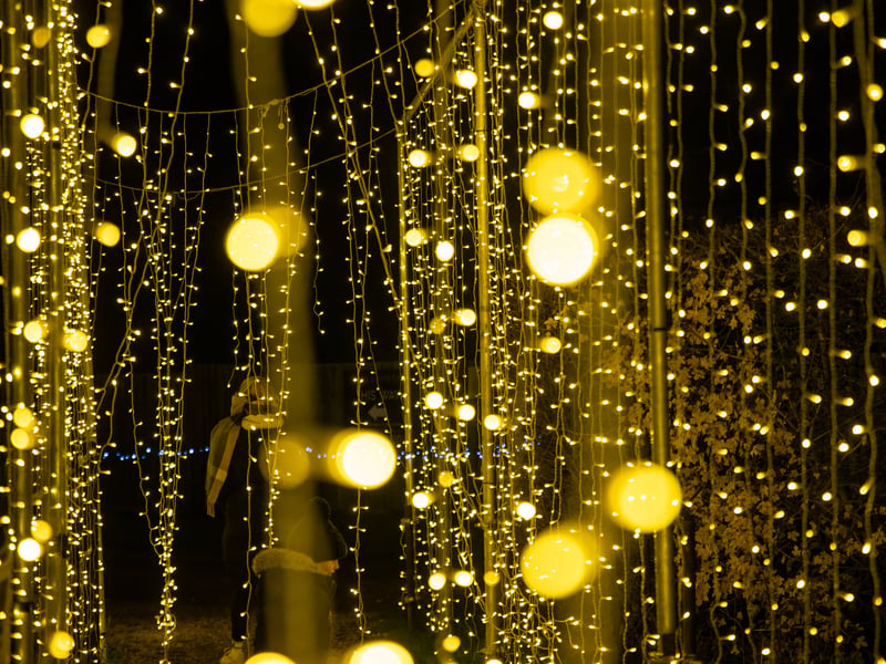 Pictured - Staunton Farms Enlightened Christmas light trail

Photos by Alex Shute