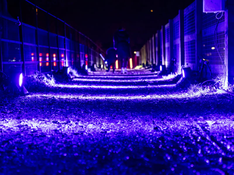 Pictured - Staunton Farms Enlightened Christmas light trail
Photos by Alex Shute