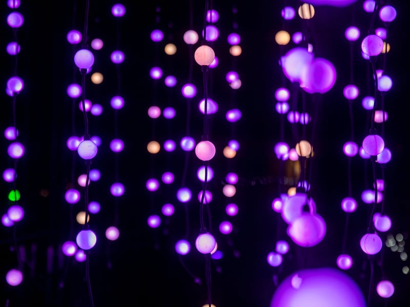 Pictured - Staunton Farms Enlightened Christmas light trail
Photos by Alex Shute