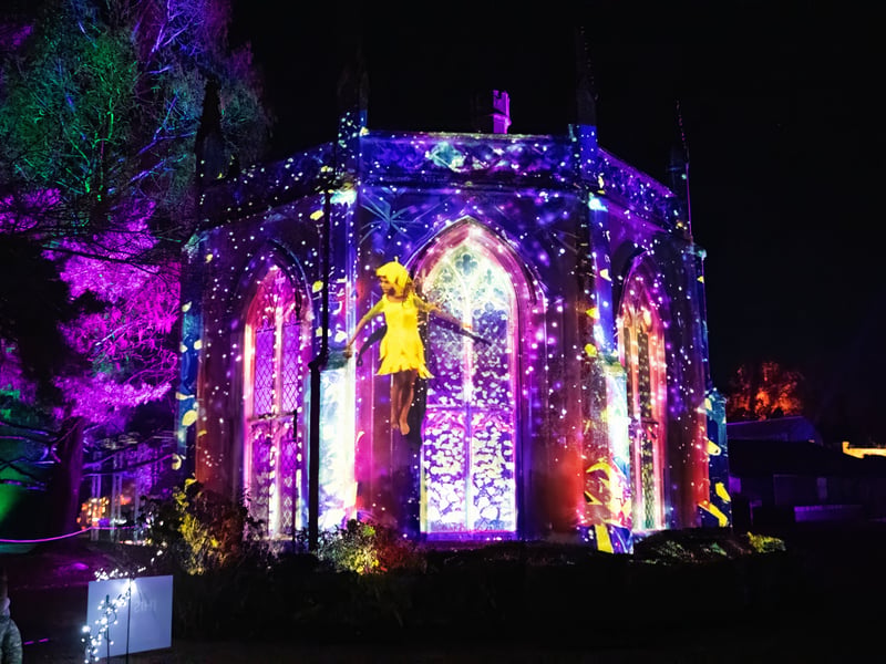 Gothic Library is all lit up at Staunton Farm
Photos by Alex Shute