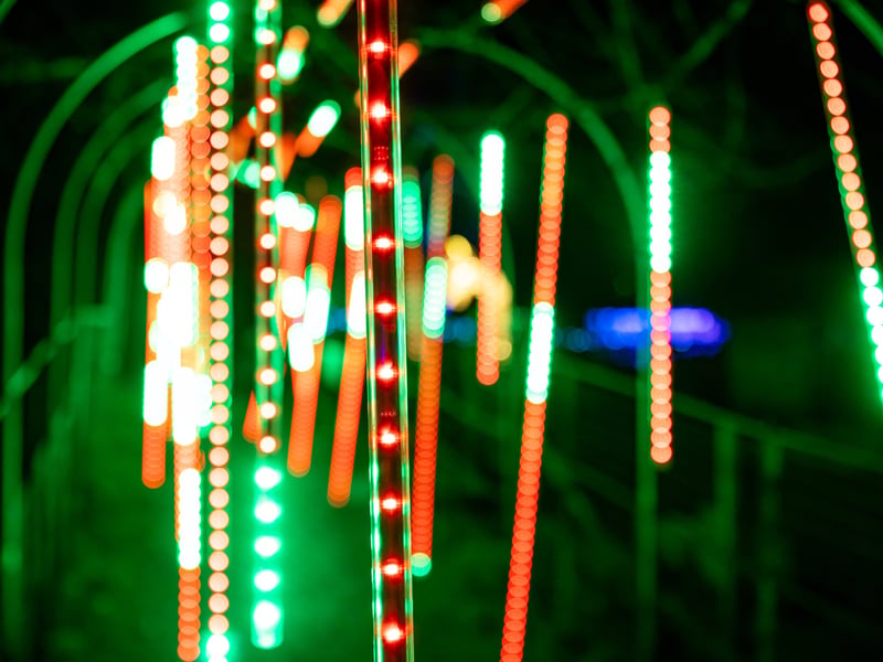 Pictured - Stunning illuminations at the Staunton Farm Enlightened Christmas light trail

Photos by Alex Shute