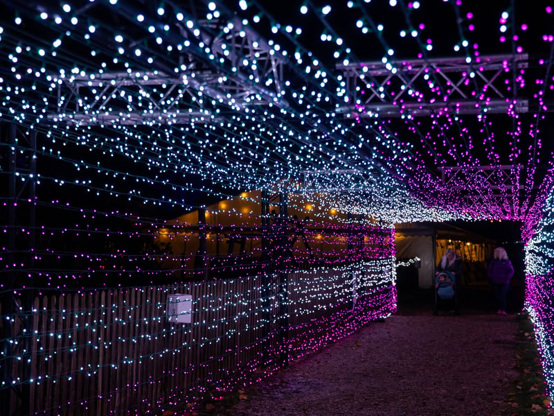 Pictured - Impressive tunnel of lights at Staunton Farm's Enlightened Christmas light trail
Photos by Alex Shute
