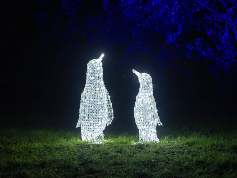 Pictured - Staunton Farms Enlightened Christmas light trail

Photos by Alex Shute