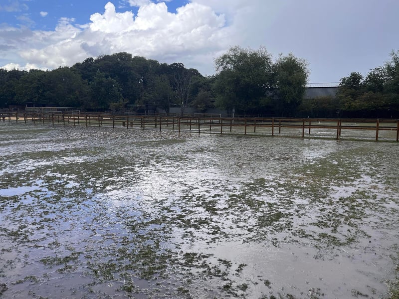 Hayling Island Donkey Sanctuary, in Mill Rythe Lane, has created a GoFundMe page after persistent rain has forced the sanctuary to close to visitors, resulting in no income stream. 

Pictured: Flooding at the sanctuary 