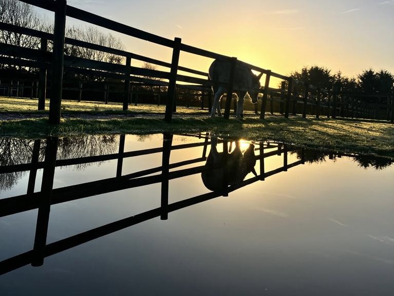 Hayling Island Donkey Sanctuary, in Mill Rythe Lane, has created a GoFundMe page after persistent rain has forced the sanctuary to close to visitors, resulting in no income stream. 

Pictured: Flooding at the sanctuary 