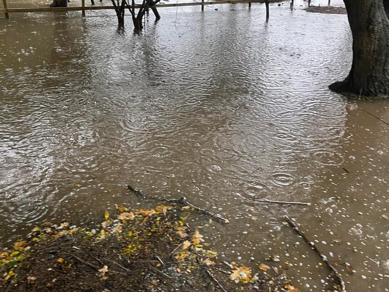 Hayling Island Donkey Sanctuary, in Mill Rythe Lane, has created a GoFundMe page after persistent rain has forced the sanctuary to close to visitors, resulting in no income stream. 

Pictured: Flooding at the sanctuary 
