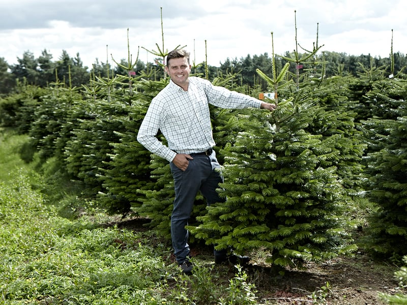 With forty years of experience, this family-run business is a trusted name in the industry, operating as a main wholesale supplier across the region while still welcoming retail customers. They focus on sustainably sourced, premium-grade Nordmann Firs, Fraser Firs, and Norway Spruces, available both cut and pot-grown. 🌲 14 Far Common Rd, Mirfield WF14 0DQ