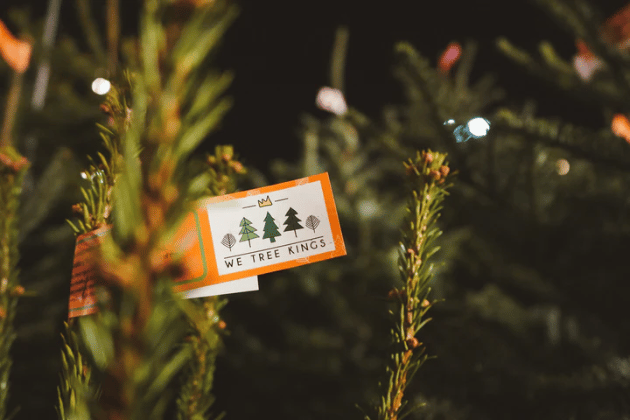 This enthusiastic family-run business is all about sustainability and quality. Operating as a convenient pop-up shop in Guiseley, they hand-select their UK-grown trees for quality. They are committed to sustainability, aiming to offset carbon and replant two trees for every one cut.  🌲 89 Otley Rd, Guiseley, Leeds LS20 8AW