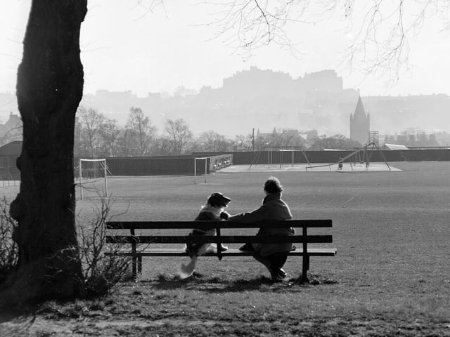 A woman and her dog sit on a bench in Inverleith Park with Edinburgh Castle in the background in March 1961.