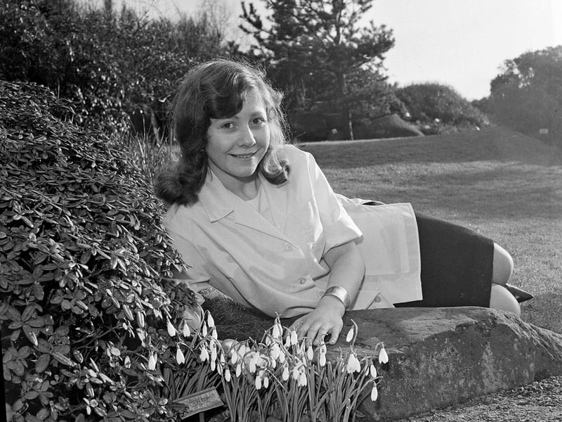 19-year-old Helena Mary Turner of Inverleith Row with snowdrops in the Edinburgh Botanic Garden in February 1964.