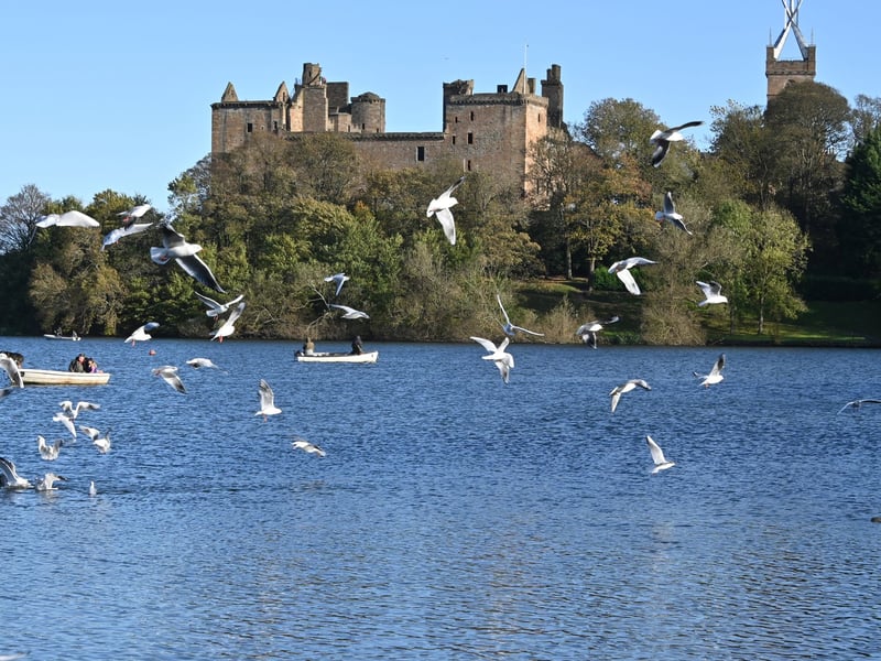 In West Lothian, life expectancy for women is 80.8 and life expectancy for men is 77.3