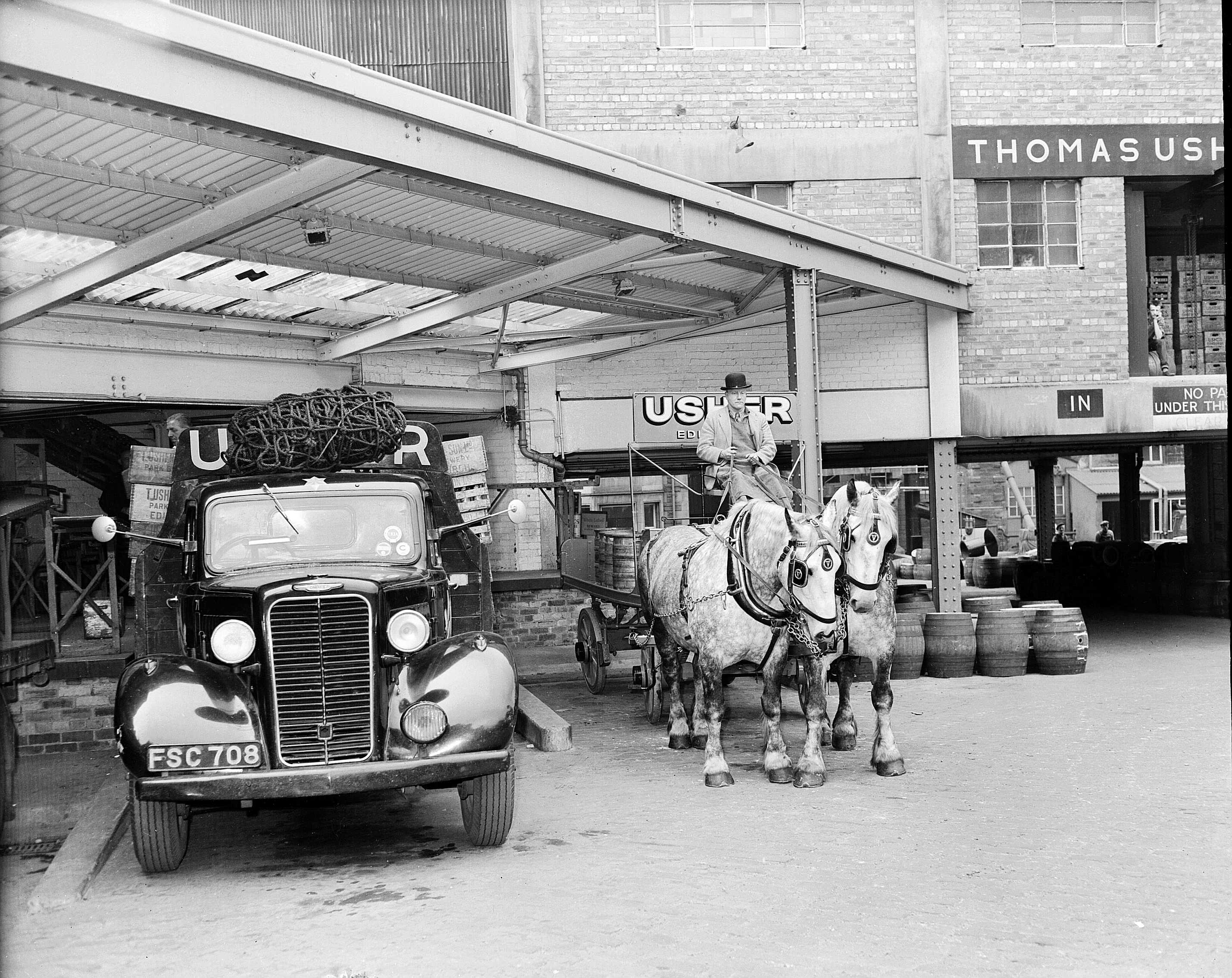 Horses  pulling  a dray delivering beer to a bar in George Street in May 1960.