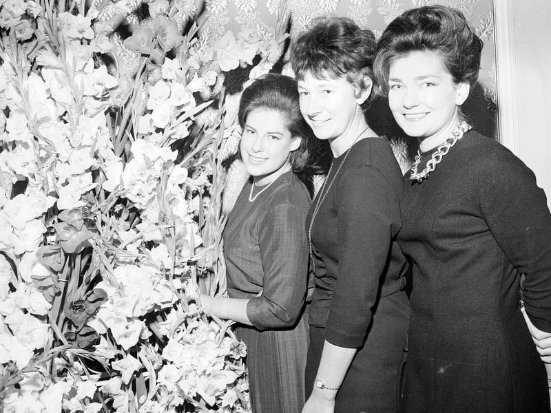 Three hostesses at the Festival Club in George Street in August 1963.
