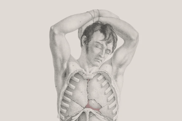 This major new exhibition explores the controversial and fascinating relationship between artistic representation, medical understanding, and the hidden structures of the human body throughout history. It’s a deep and visually compelling look at anatomy as a source of both knowledge and power. 🔎 Thackray Museum of Medicine, Beckett Street.
