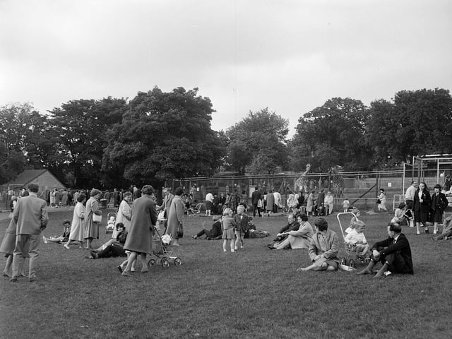 The autumn holidays at Edinburgh Zoo in September 1963.