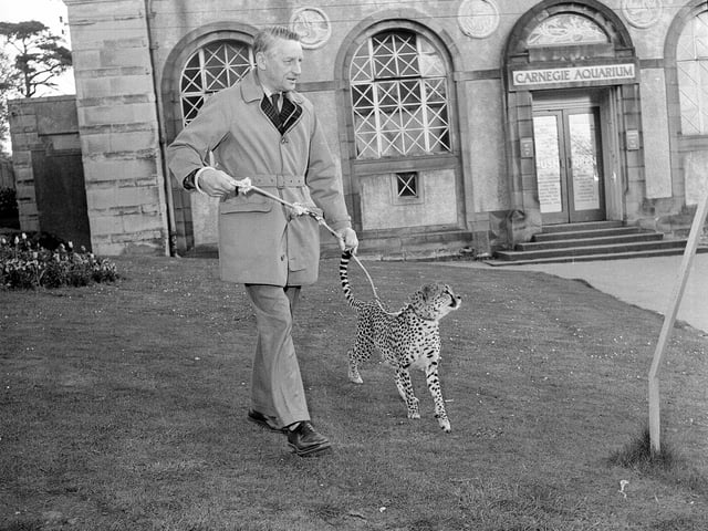 Edinburgh Zoo director Gilbert Fisher with Scrap the cheetah outside the Carnegie Aquarium at  Edinburgh Zoo in April 1964.
