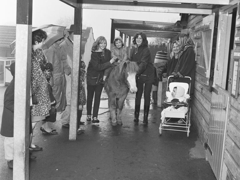 Brian Cavellini gets a ride on Sweety the pony at Edinburgh Zoo in April 1966.