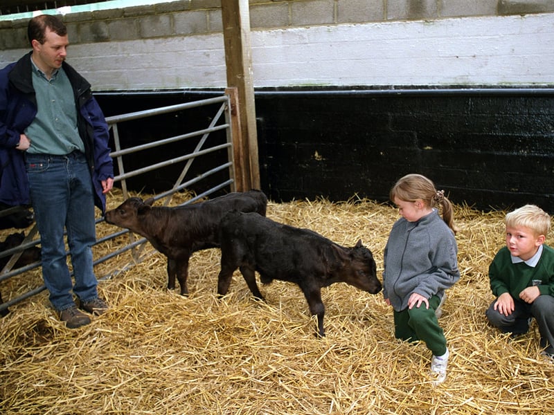 Martin Allen a teacher at Littlemoor Primary, pictured with pupils Catherine Anderson and Adam Armitage as they make friends with 10-day-old twin calves Millie and Ben during a visit to Meanwood Valley Urban Farm.