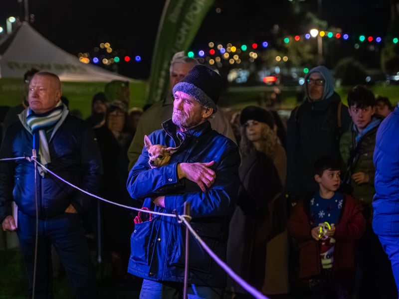 Lake of Lights by Rowans Hospice at Canoe Lake in Southsea. Pictured by Alec Chapman