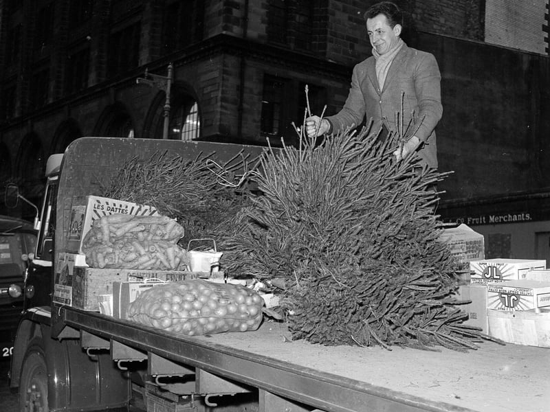Loading a Christmas trees onto a lorry in Edinburgh in 1963.