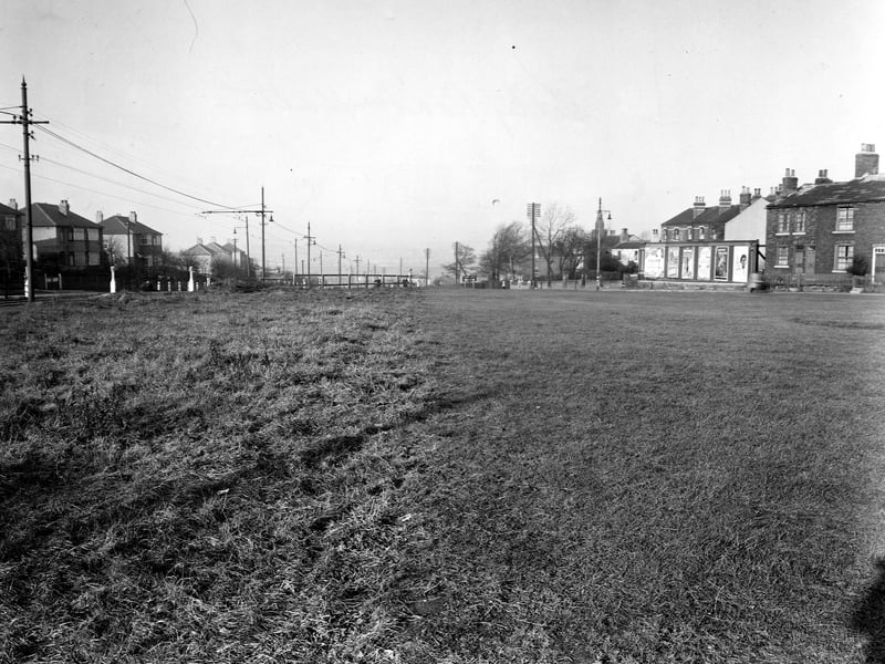 Selby Road in November 1949. A large grassy area is in the foreground. A row advertisements including army recruitment and Fairy soap is in the background. Telephone poles and tram cables stretch into the distance.