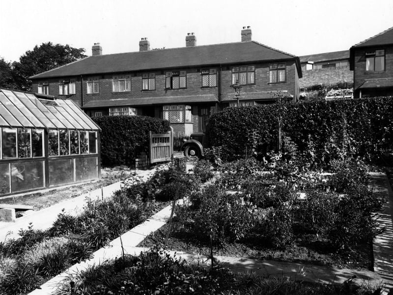 Willow Well Road in September 1949. This view looks north east in the garden of No 7. Greenhouse full of plants to left and a number of cultivated flower beds provide focus. A row of brick town houses faces opposite with leaded light windows.