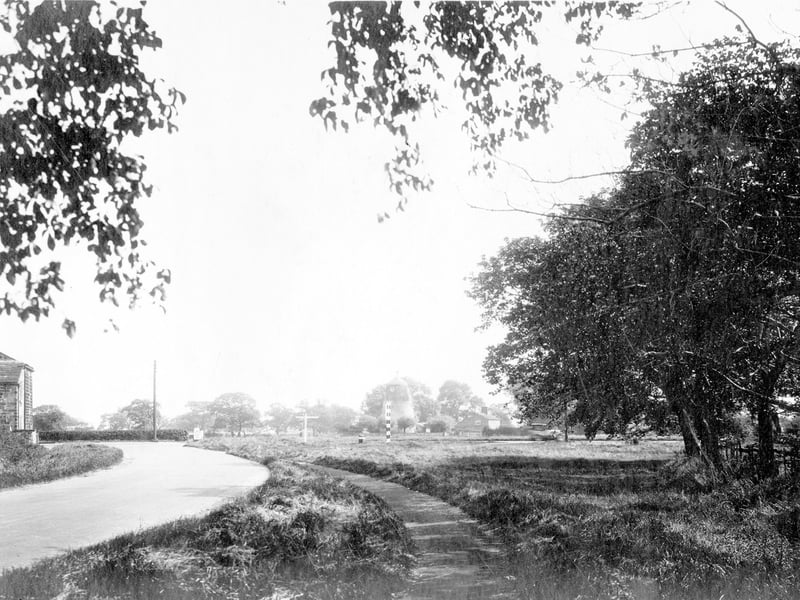 Coal Road with Mill Green in September 1930.