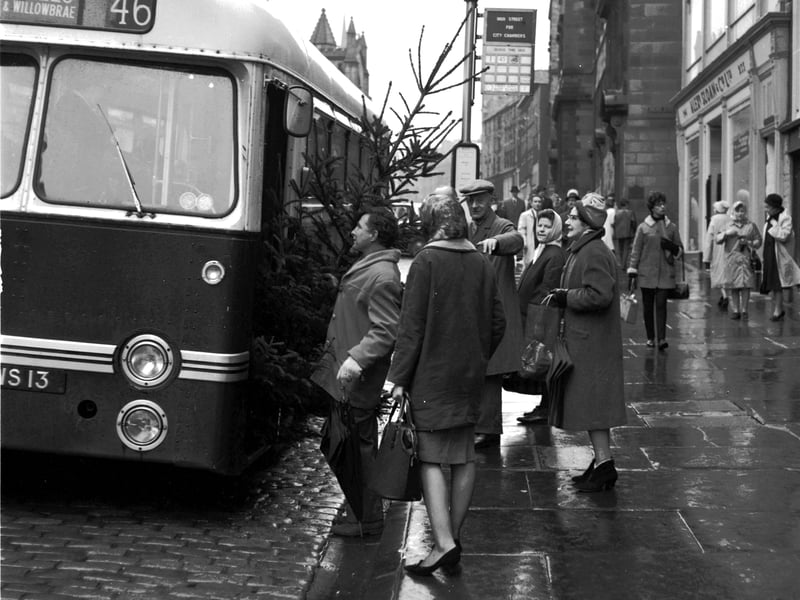 A man with a Christmas tree trying to get on a bus on the High Street in 1965.