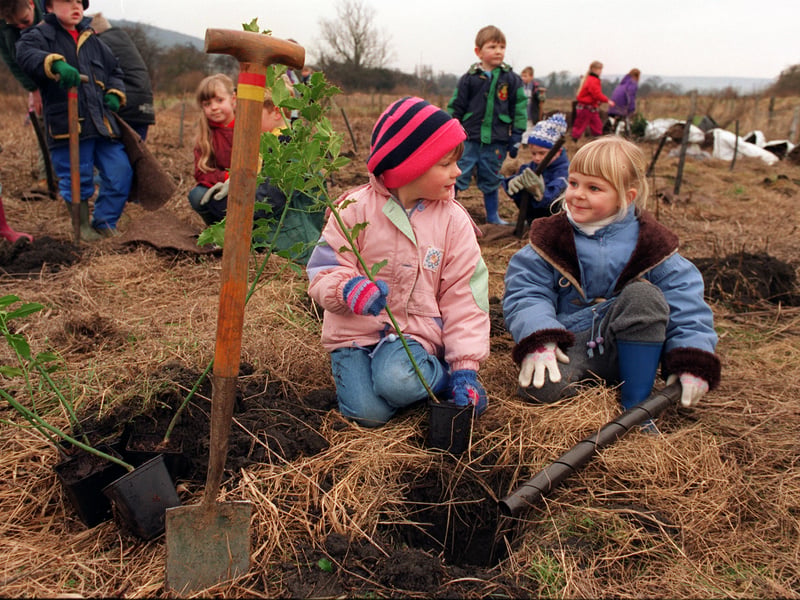 A down to earth job as pupils from The Whartons Primary School set about planting 500 trees at Gallows Hill Nature Reserve. Pictured are Jessica Daly, left, and  Louis Simpson.